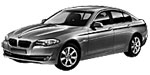 BMW F10 P0AF5 Fault Code